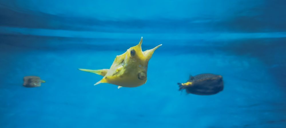 Photograph by Лиза Малыгина