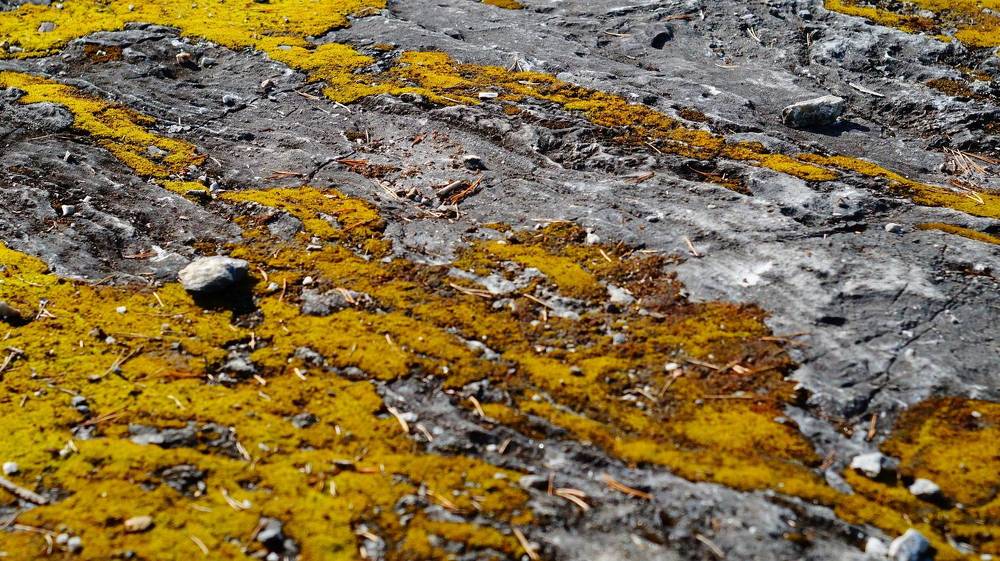 Photograph by Лиза Малыгина