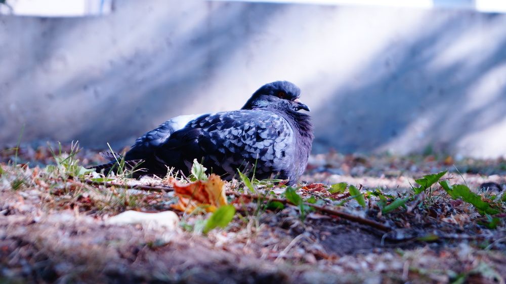 Photograph by Лиза Малыгина