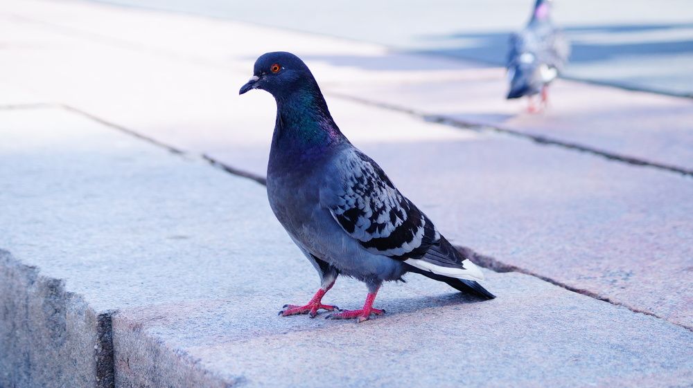 Photograph by Лиза Малыгина