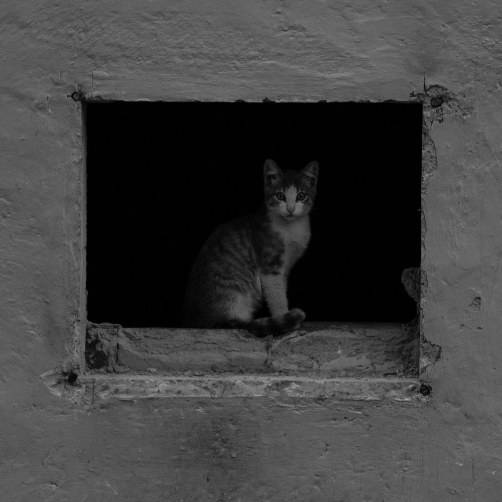 Photograph by Анна Брагина