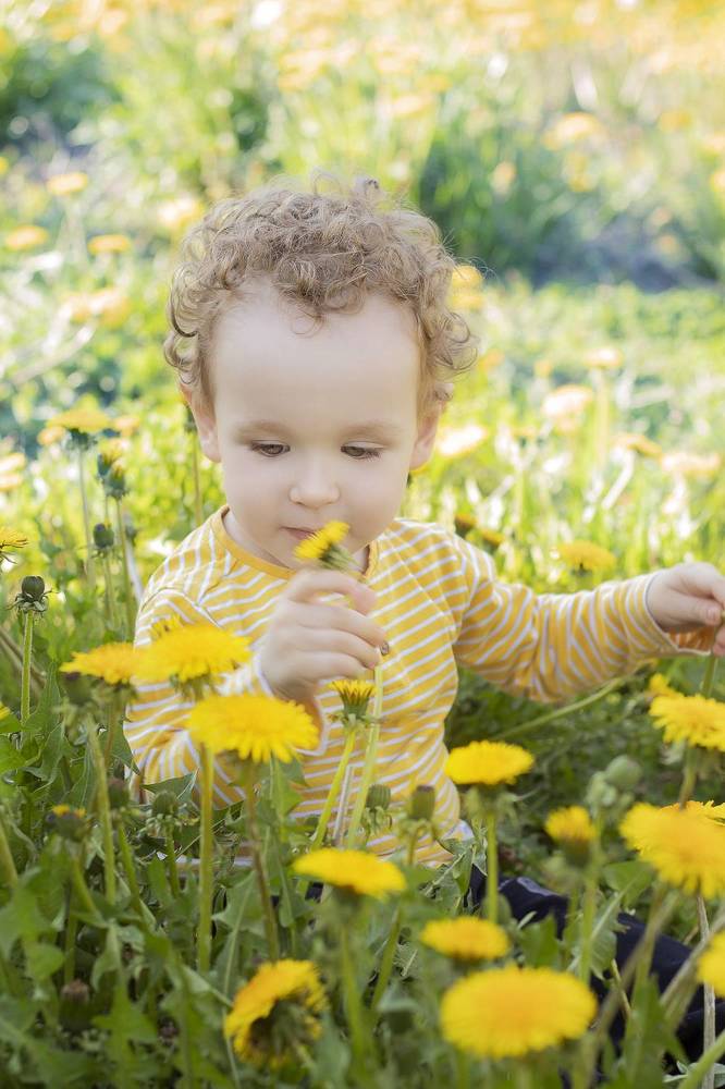 Фотография автора Анастасия Борская