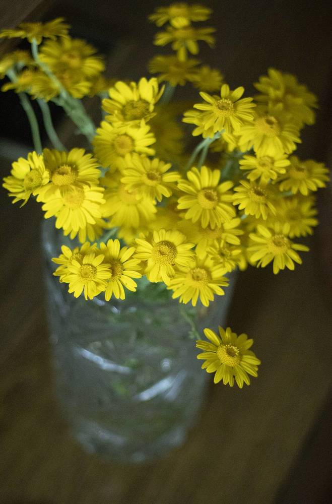 Фотография автора Анастасия Борская