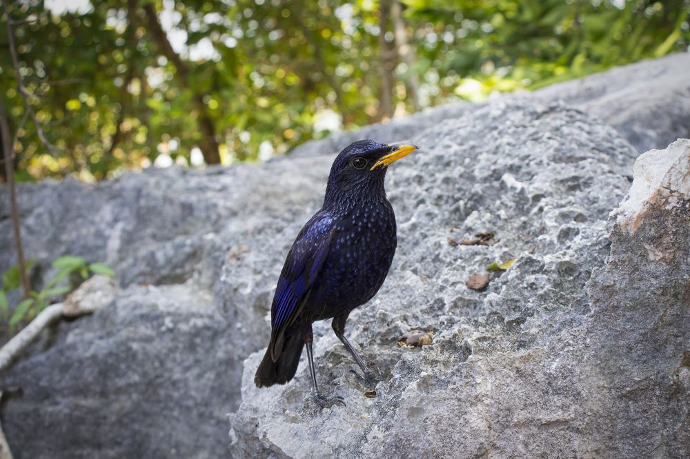 Photograph by Олег Филиппов