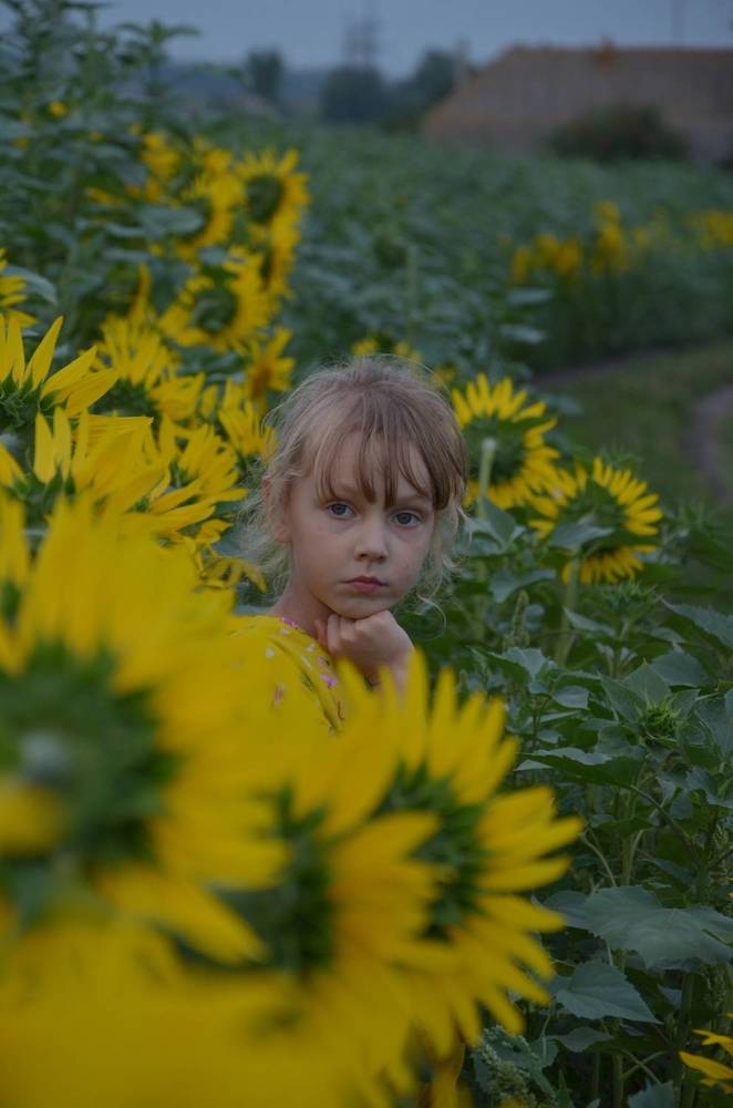Photograph by Ольга Семенова
