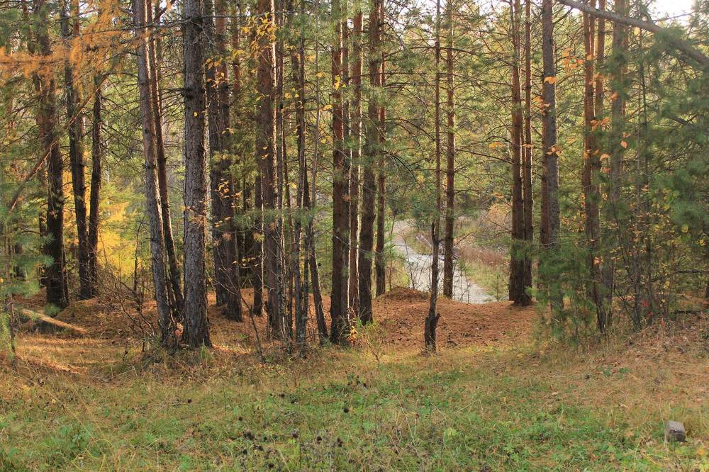 Photograph by Баженова Наталья