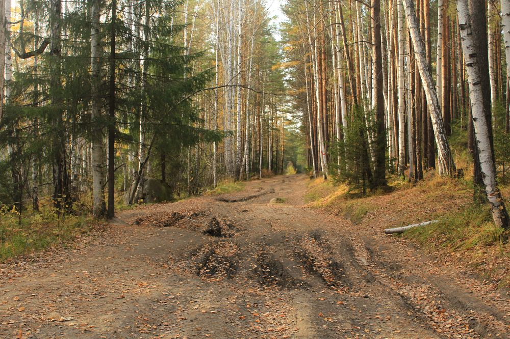 Photograph by Баженова Наталья