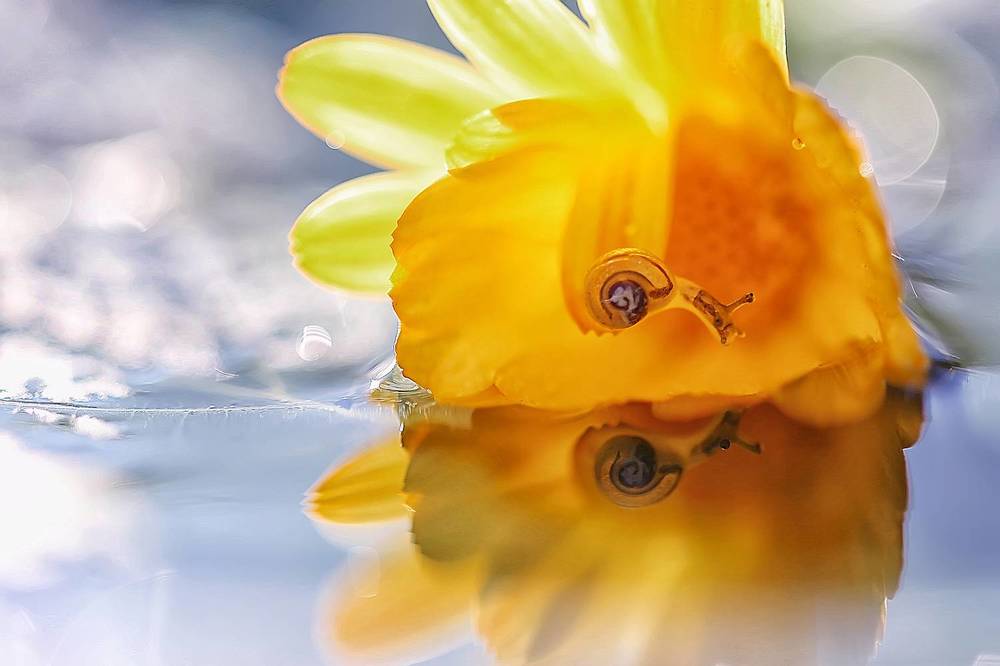 Photograph by Юлия Войнич