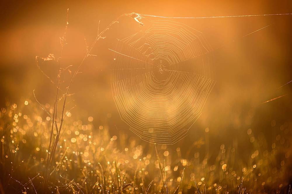 Photograph by Юлия Войнич