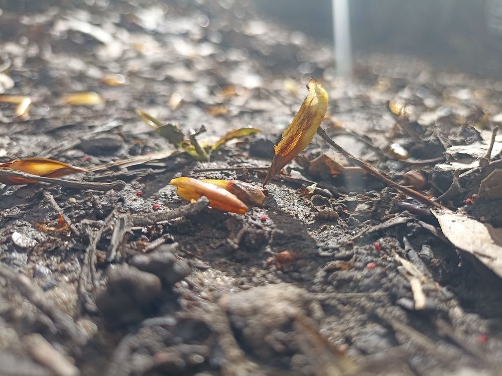 Photograph by Лиза Малыгина