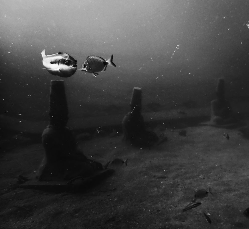 Photograph by Кирилл Леднев