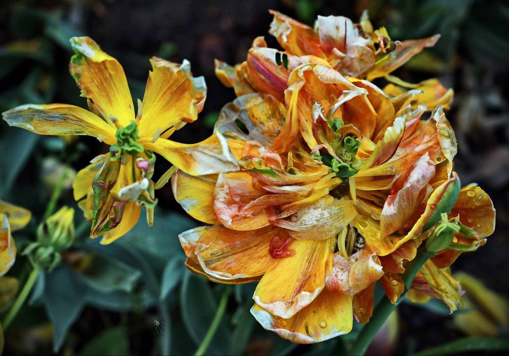 Photograph by Алексей Зимин