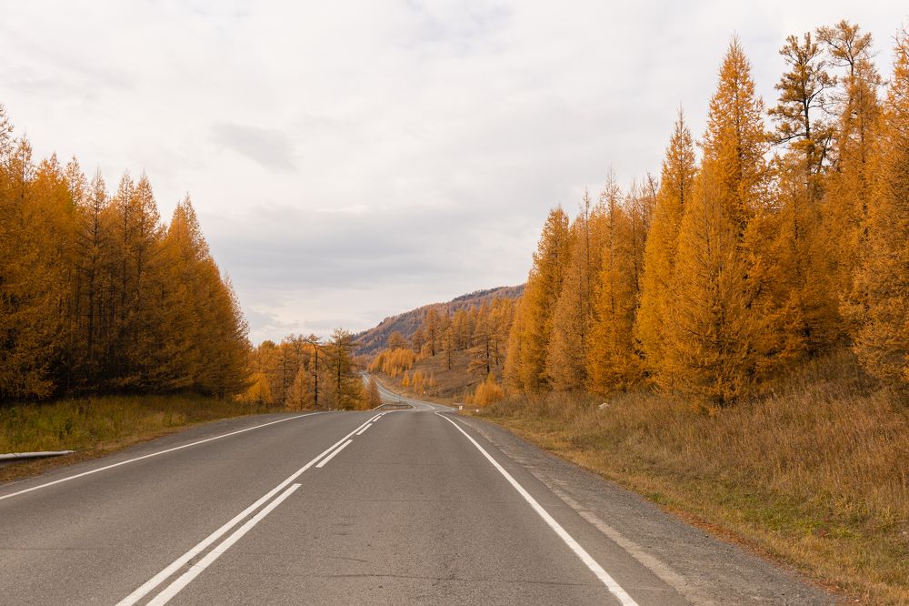 Photograph by Natalie Lamm