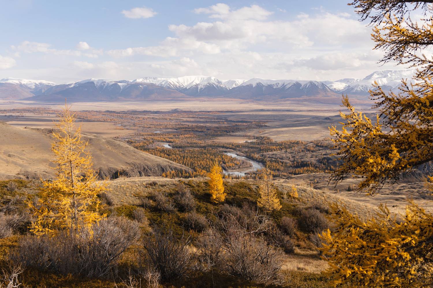 Фотография #11118541