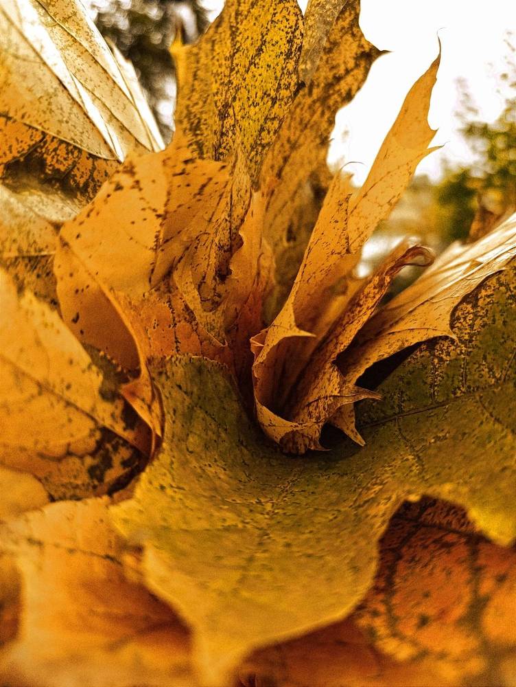 Photograph by Natalya Moskvina