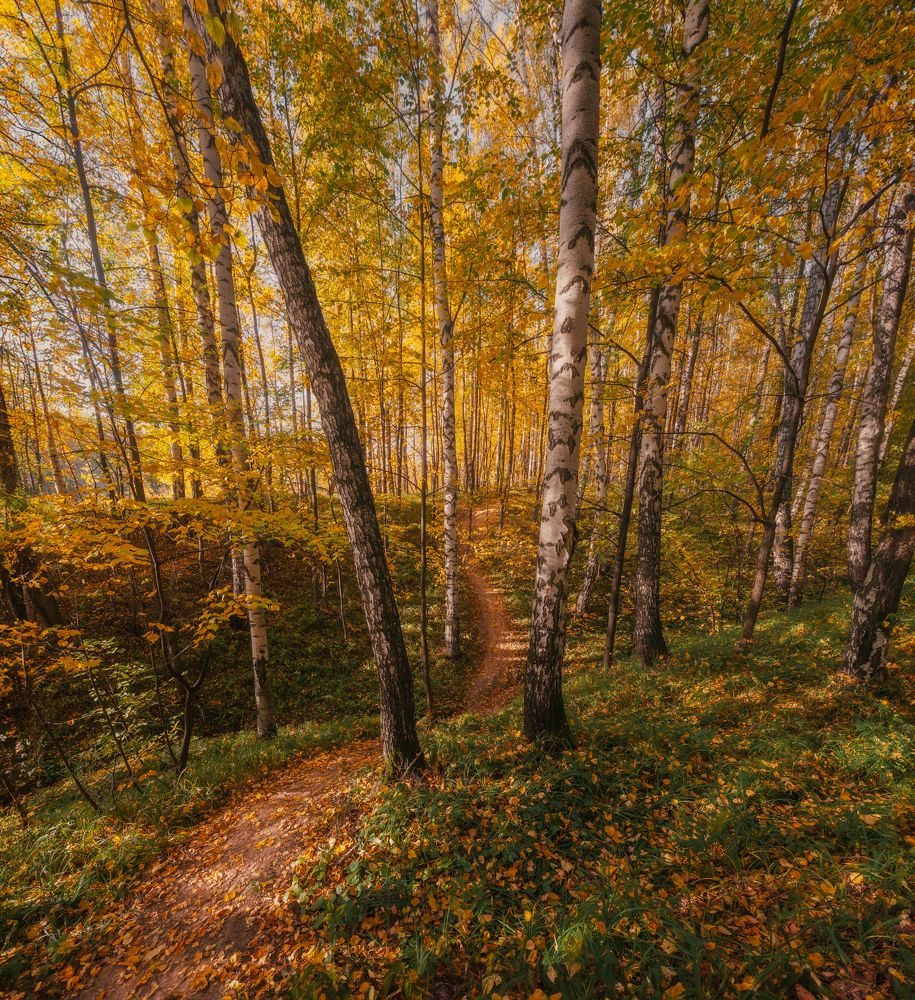 Фотография автора Bushmakin Egor