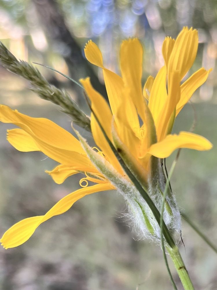 Photograph by Ольга Белоусова