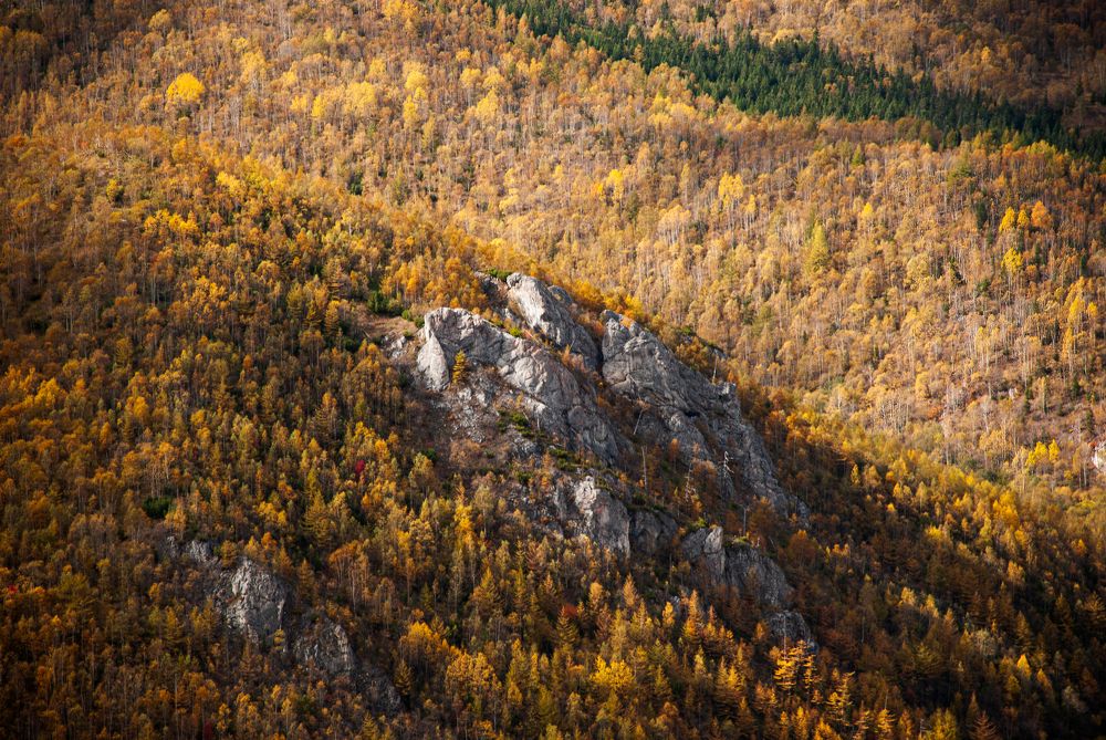 Photograph by Василиса Ногина