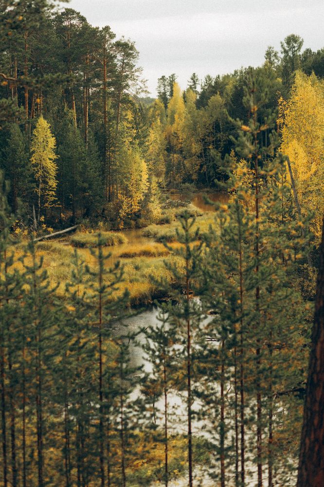 Photograph by Ольга Бородько