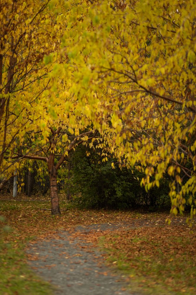 Photograph by Ольга Бородько