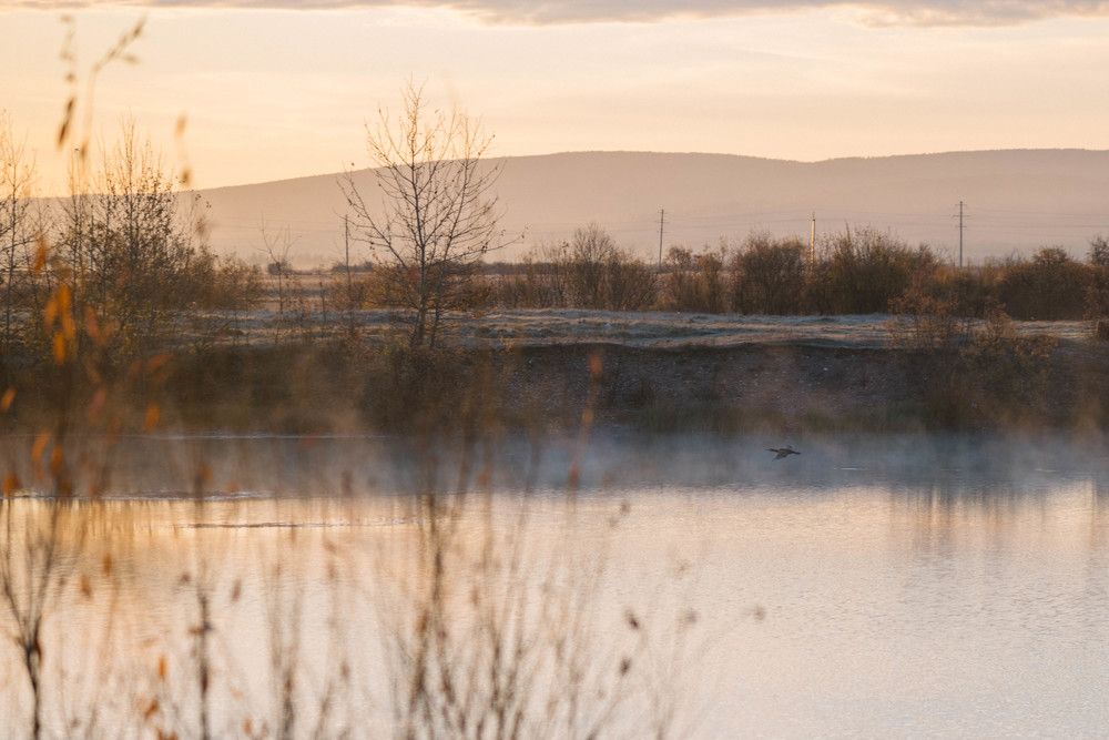 Photograph by Зуев Дмитрий