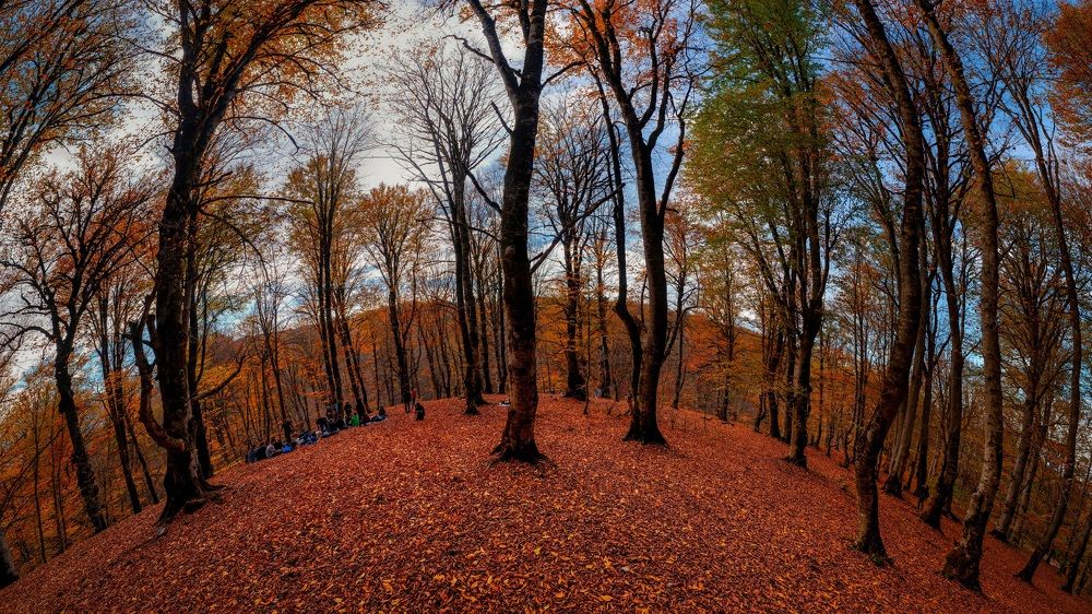 Photograph by Farshad Yazdankhah