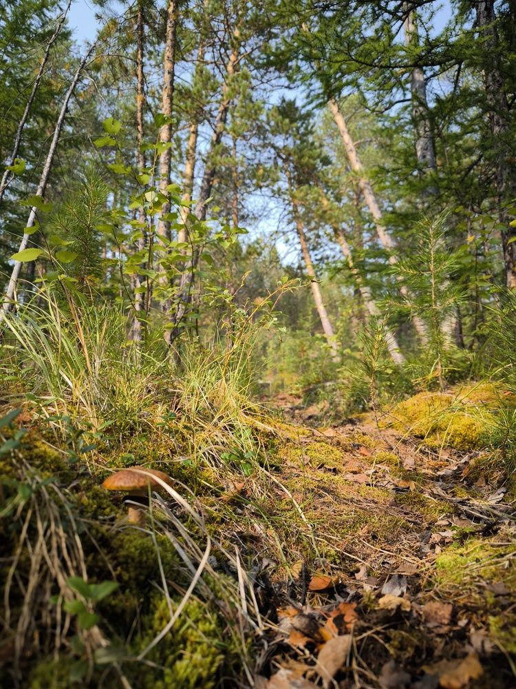 Photograph by Эдуард Герасимов