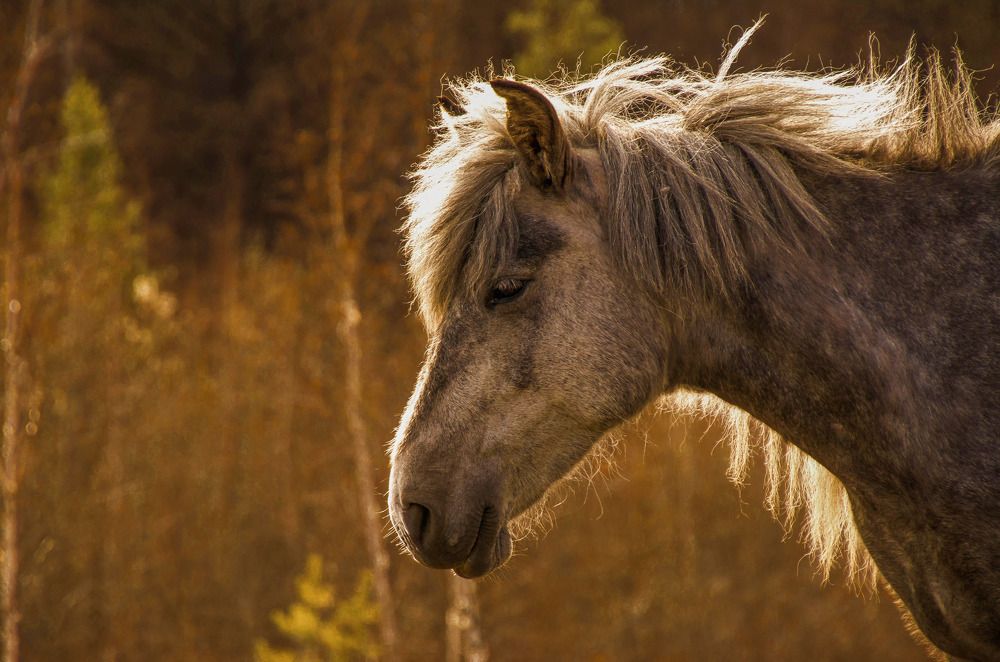 Photograph by Анастасия Тетерина