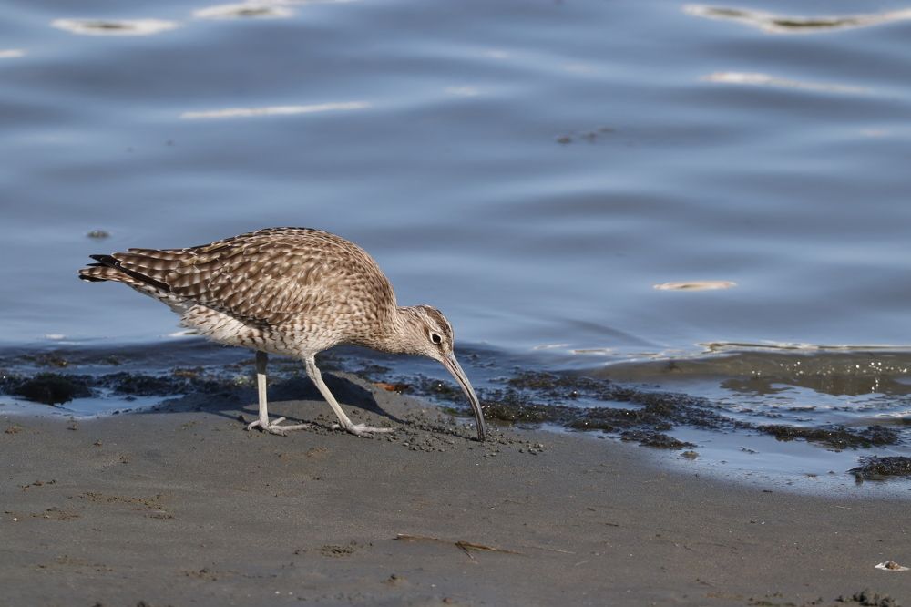 Photograph by Se Lena