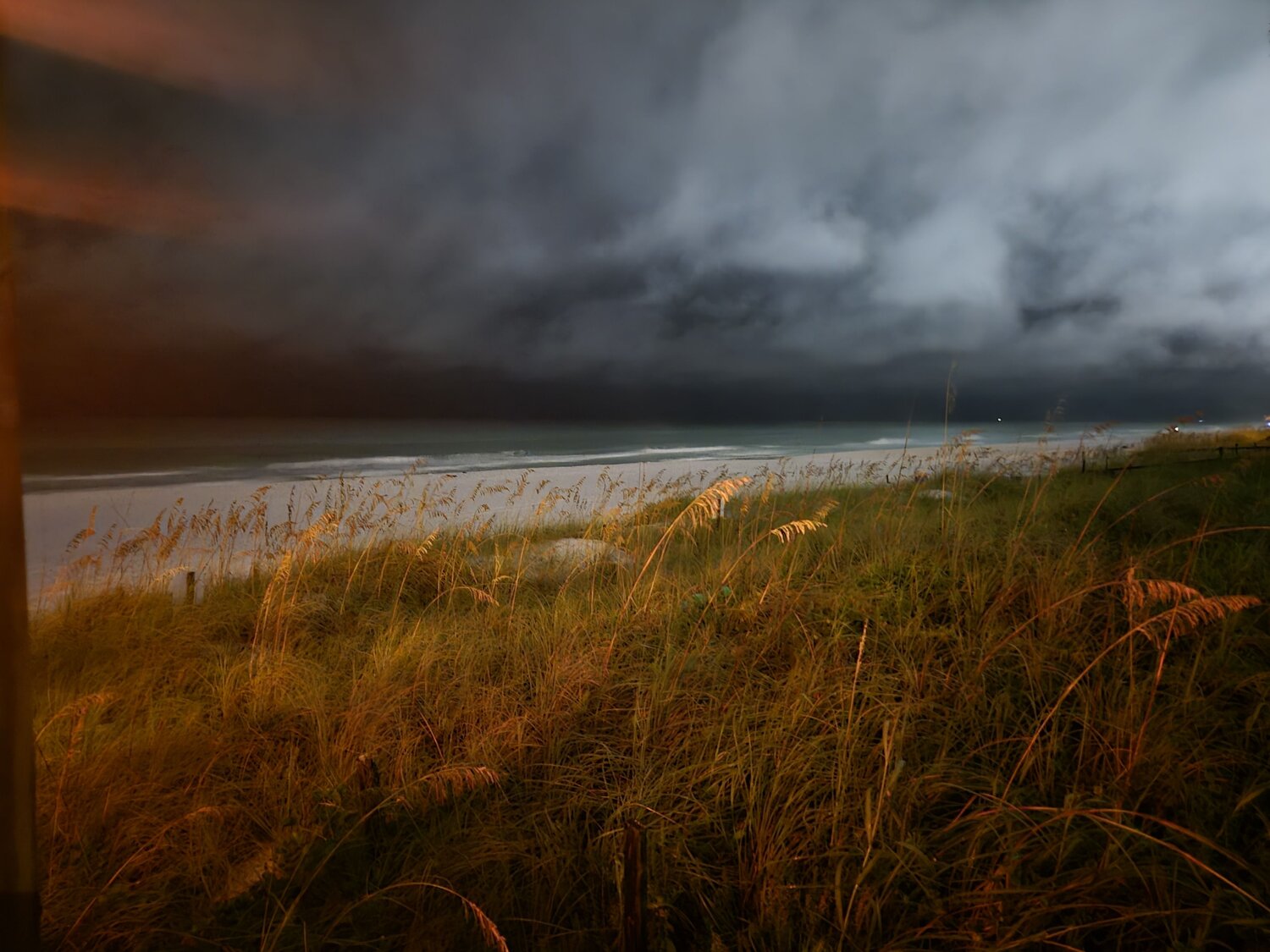 Photo #11118713
