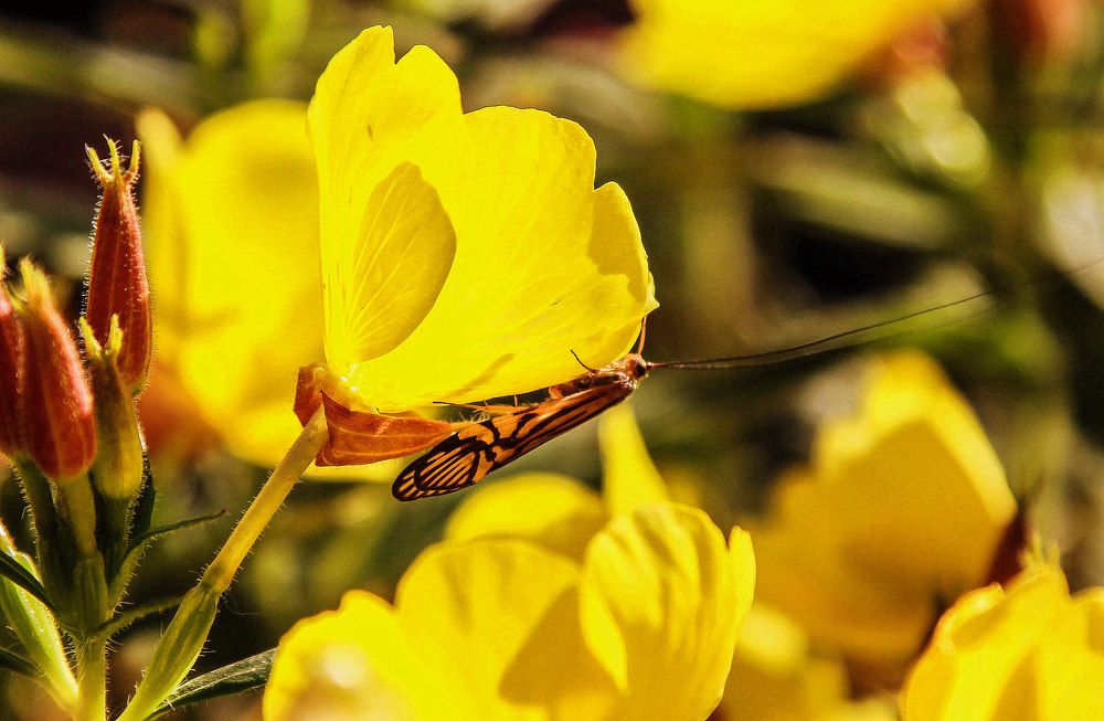 Photograph by Дмитрий