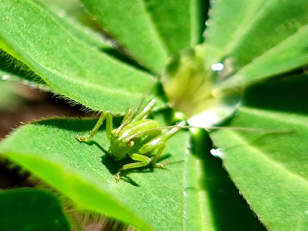 Photograph by Юля