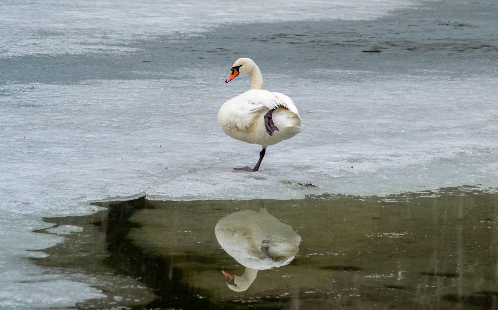 Фотография автора Кирилл Лизунов