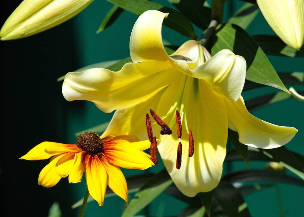 Photograph by Алексей Хазов