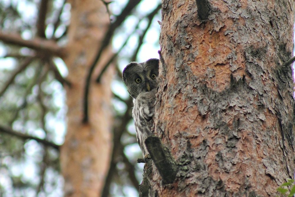 Photograph by Андрей Ахметшин