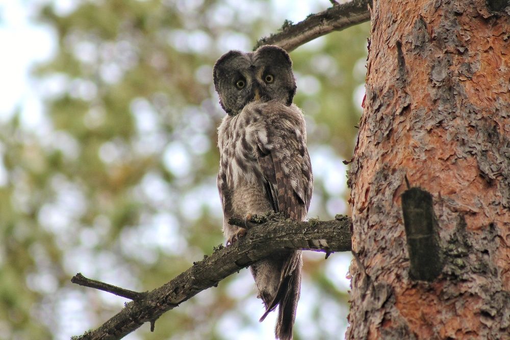 Photograph by Андрей Ахметшин