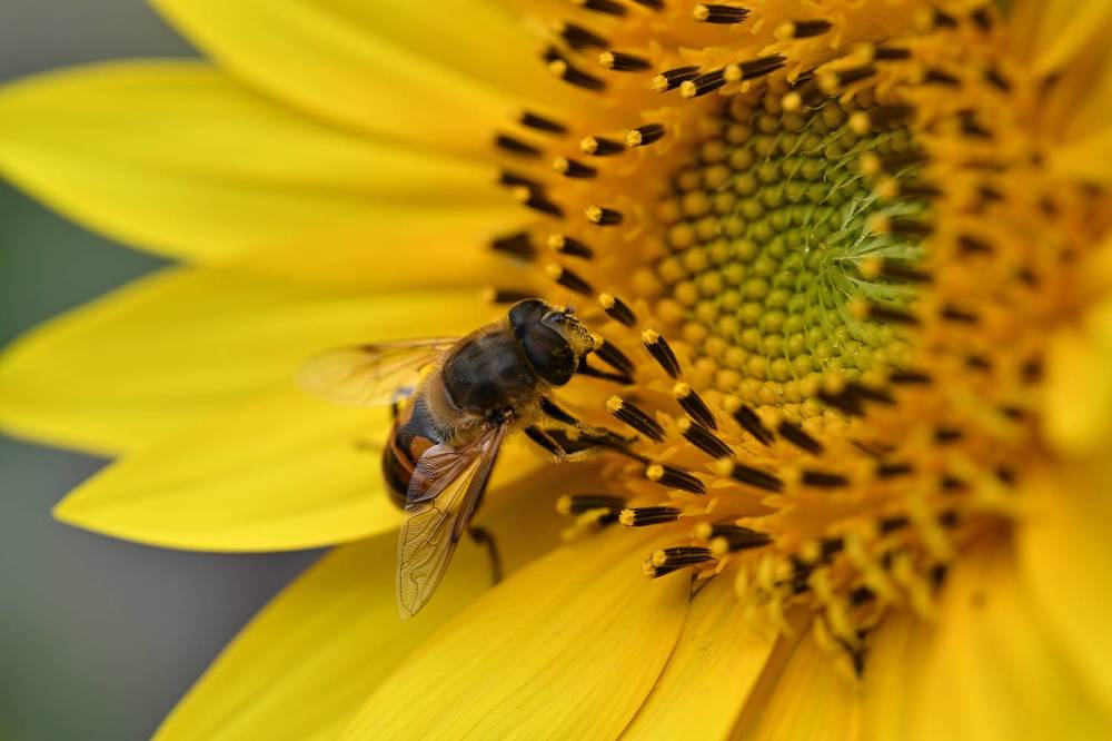 Фотография автора Дмитрий Referee