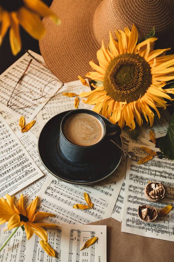 Фотография автора Альбина Кадочникова