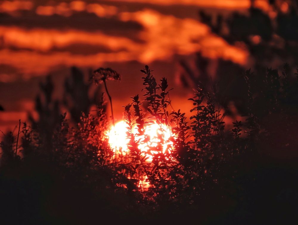 Фотография автора Екатерина Солохина