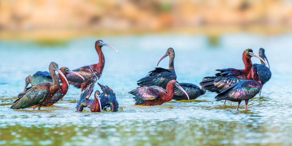 Photograph by Bui Trong Nghia