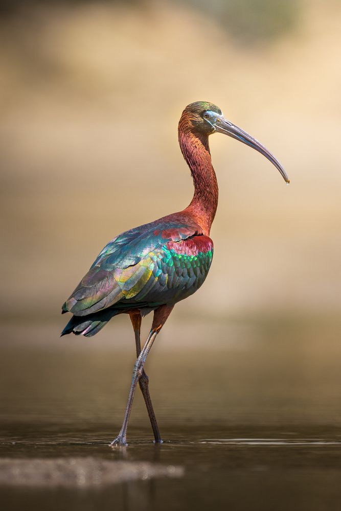 Photograph by Bui Trong Nghia