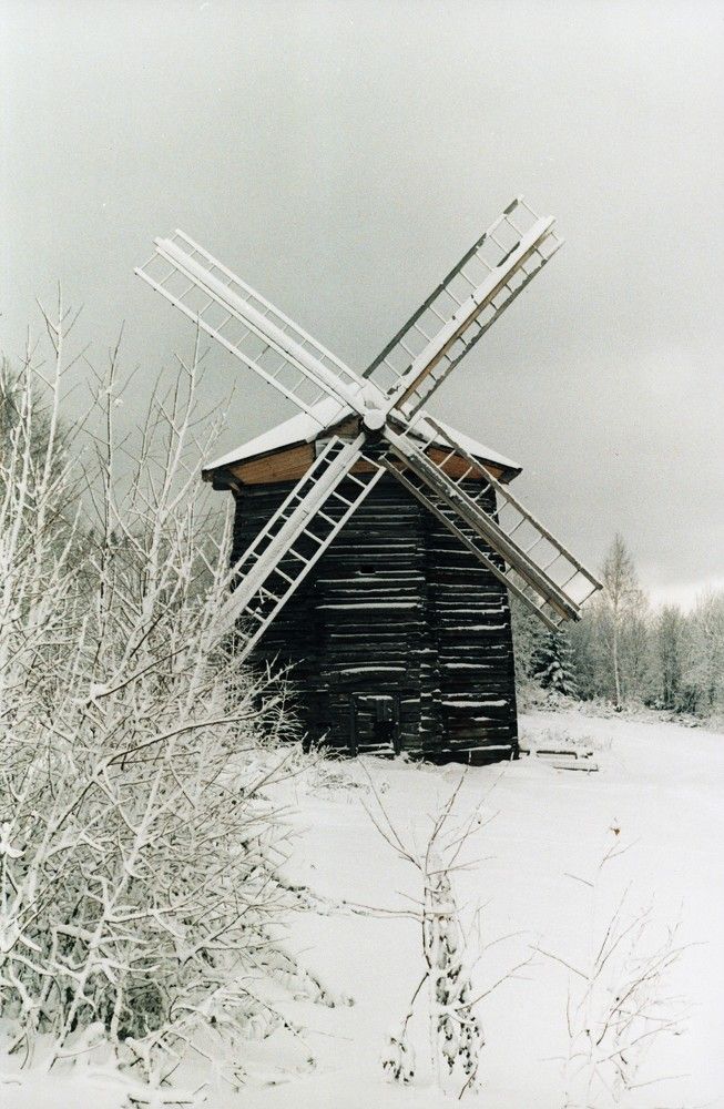 Photograph by Сергей Шевырин
