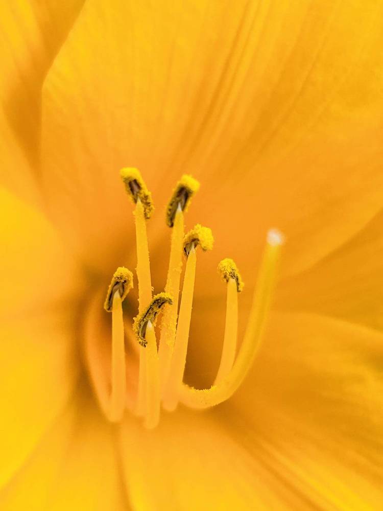 Photograph by Елена Маркова