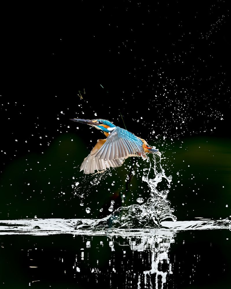 Photograph by Joshy Varghese