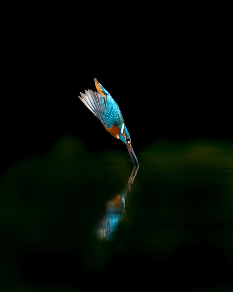 Photograph by Joshy Varghese