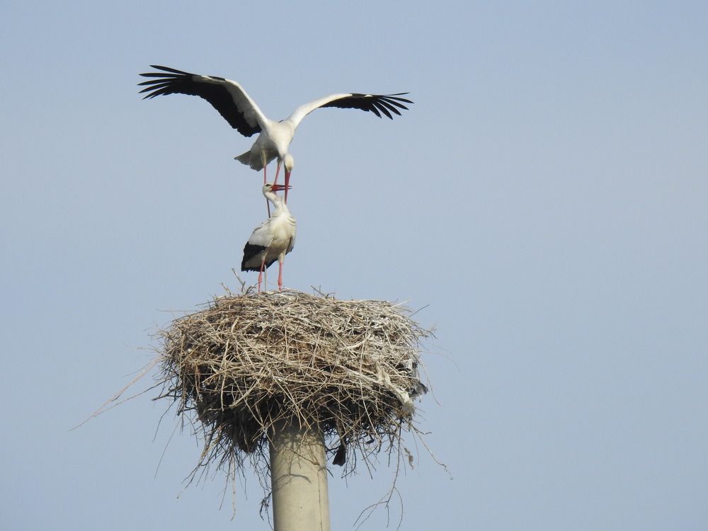 Фотография автора Shavkat Tojiyev