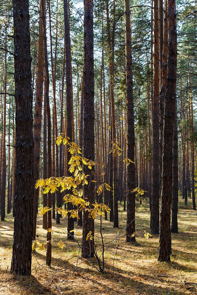 Photograph by Olga Shtin