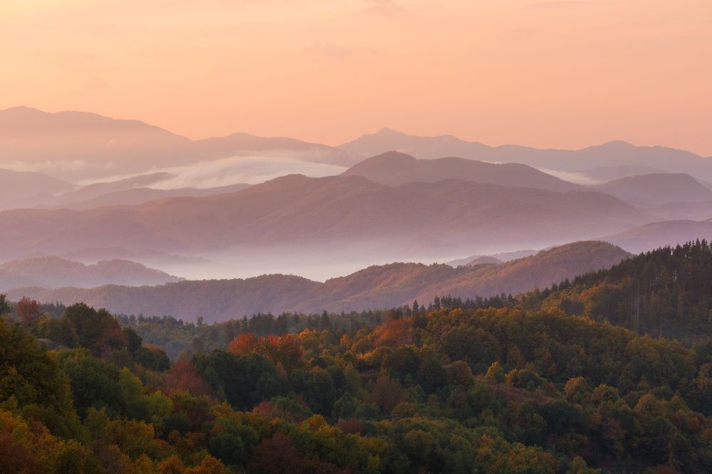 Photograph by Vania Tonova