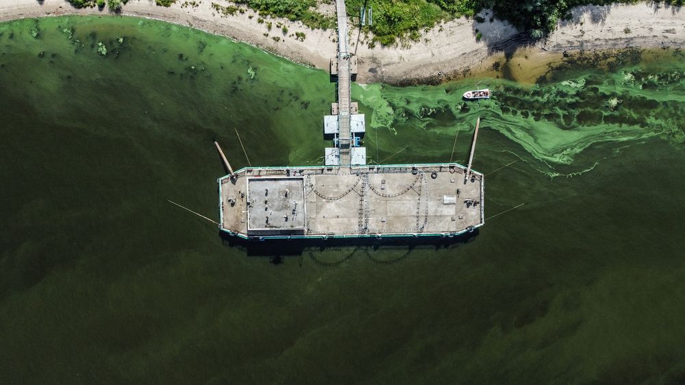 Photograph by Виталий