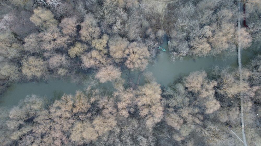 Photograph by Виталий